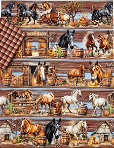 Kit BR519 Barrado Horse