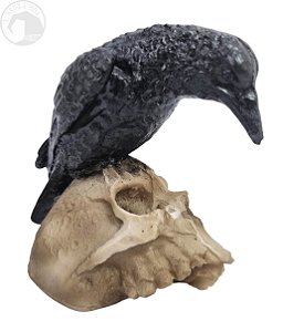 Corvo e Caveira (Decorativo)
