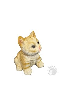 Gatinho Sentado