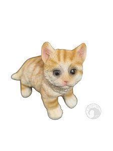 Gatinho - Resina
