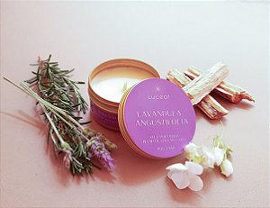 Vela Lavandula Angustifolia - Lavanda