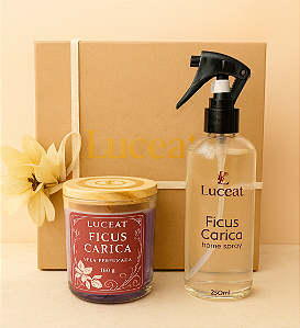 Gift Set Redamare - Ficus Carica - Figo Ambarado