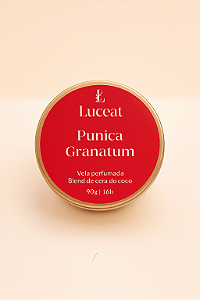 Vela Punica Granatum- Romã