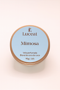 Vela Mimosa - Vela Mimosa e Cardamomo