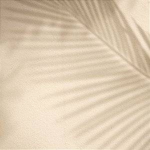 Fundo Fotográfico Simples 60x60cm Sombra Shadow Morron