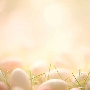 Fundo Fotográfico MDF 60x60cm Easter Minimal