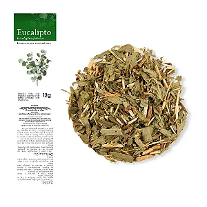 Eucalipto