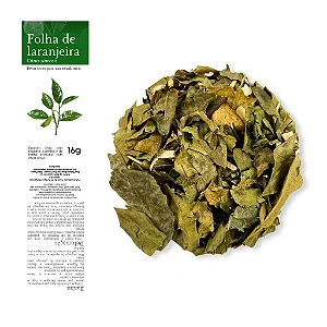 Folha de Laranjeira