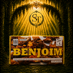 Defumador Pirâmide - Benjoim