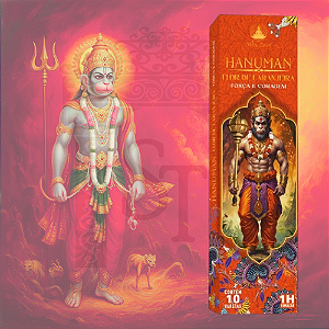 Incenso Vila Zen Deuses - Hanuman