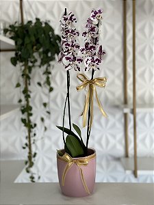 Orquídea na cerâmica
