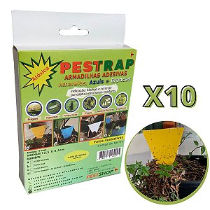 Pestrap Amarela Pega Fungus Gnats Mod V Vaso 12,5x8,5 10 Un