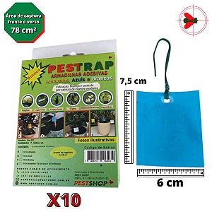 Pestrap Azul Pega Fungus Gnats Mod Ret Pq 7,5x6 10 Un