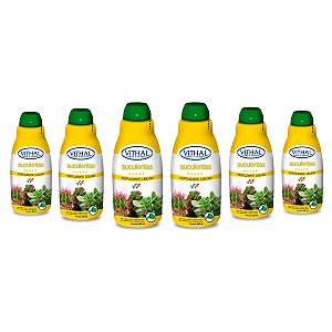 Kit Com 6 Fertilizantes Líquido Para Suculentas Vithal 250ml