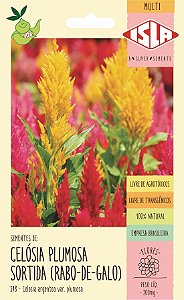Sementes Celosia-plumosa Plumosa Sortida Rabo De Galo - Isla