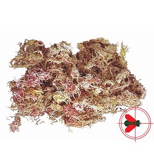 Musgo sphagnum Branco e Rosa Emb. 40gramas