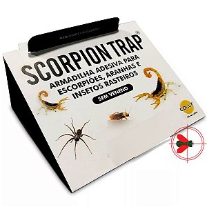 Armadilha Adesiva Para Escorpião Scorpion Trap