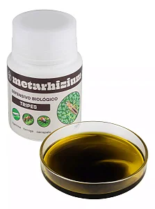 Metarhizium Anisopliae Tripes, Formiga, Cochonilha Terrô 75ml