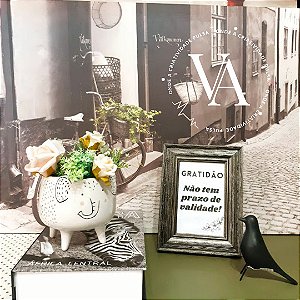 Coleção Estilo 🤍Joca