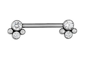 Barbell Reto Cluster Zircônias Boleadas