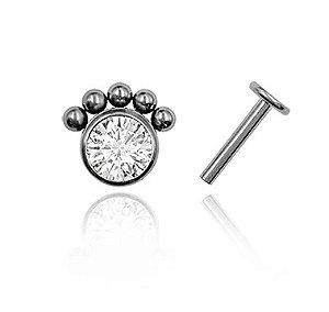 Labret ornamental