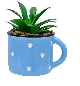 Cachepot Poá com Suculenta Azul