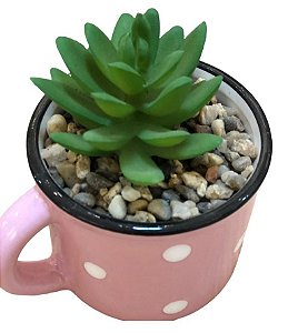 Cachepot Poá com Suculenta Rosa