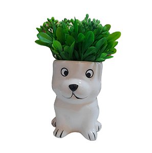 Vasinho com Verdino Cachorro Branco