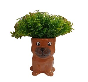 Vasinho com Verdino Cachorro Marrom