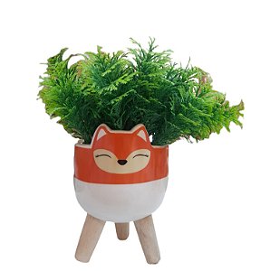 Cachepot Raposa Com Pernas Madeira Com Verdinhos