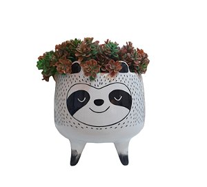 Cachepot Panda com Verdinho