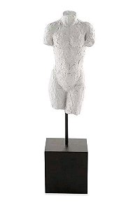 Escultura Corpo Em Poliresina - Masculina - Mart