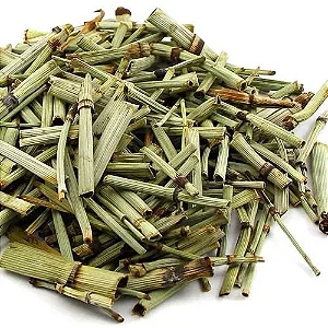 Cavalinha Folhas Chá