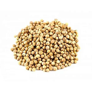 Coentro semente em Grãos