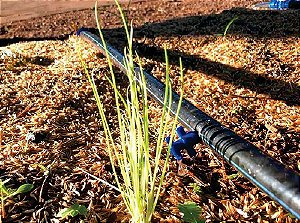 Mangueira Tubo PELBD 16mm PN30 para Irrigação - Rolo com 200m