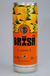 BRISA DRINKS BEIJAMBÚ (JAMBÚ)
