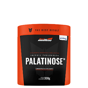 Palatinose New Millen 300g