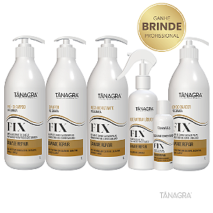 Kit Completo FIX Damage Repair Tânagra 1L