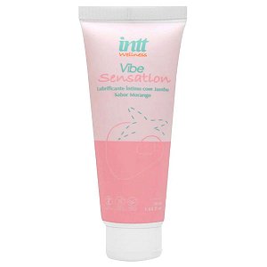 Gel Lubrificante Íntimo Vibe Sensation Wellness Intt