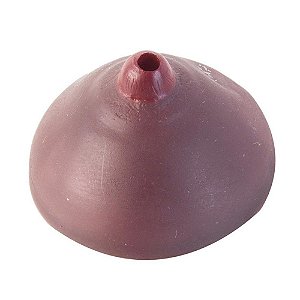 Tampa Para Latinha Seio Black Hot Flowers