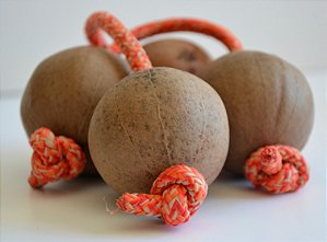 Asalato Griot – Fruto Natural do Senegal (Seleção P)