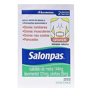 Salonpas Adesivo 13,0x8,4cm Com 20 Envelopes De 2 Unidades