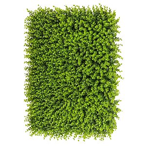 Placa Jardim Vertical Muro Inglês 40x60cm