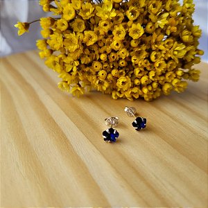 Brinco Zirc. Flor 6 mm - Prata 925