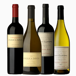 Kit Vinhos Tintos Argentinos Catena com 4 unidades