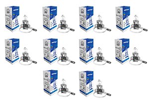 Kit 10 Lampada Shocklight Halogena Standart H3 12v 55w Pk22s