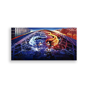 Painel Retangular - Sonic Shadow - Sublimado 3D
