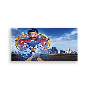 Painel Retangular - Sonic - Sublimado 3D