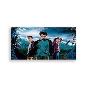 Painel Retangular - Harry Potter - Sublimado 3D