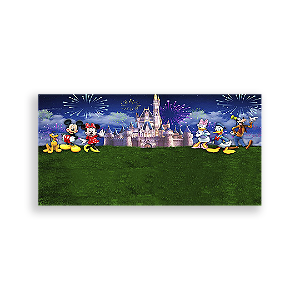 Painel Retangular - Disney - Sublimado 3D